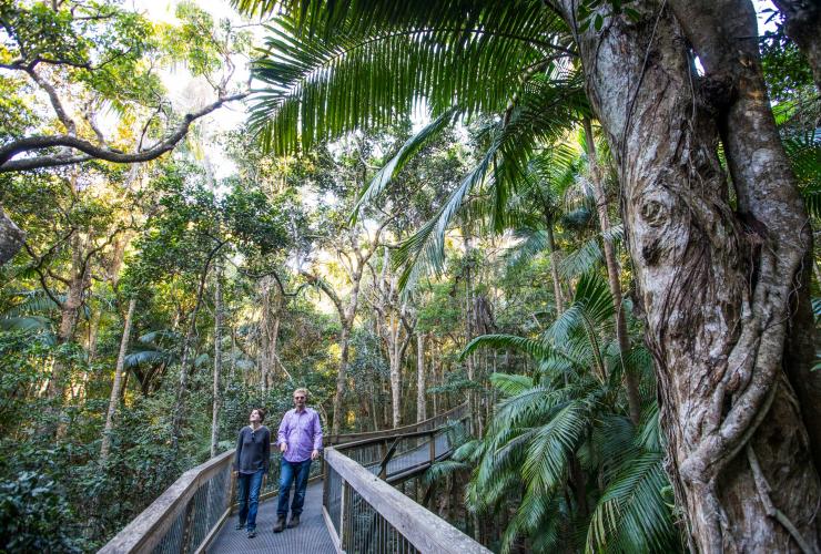 ニュー・サウス・ウェールズ州、ポート・マッコーリーのシー・エーカーズ国立公園で自然の中の遊歩道を歩くカップル © Destination NSW