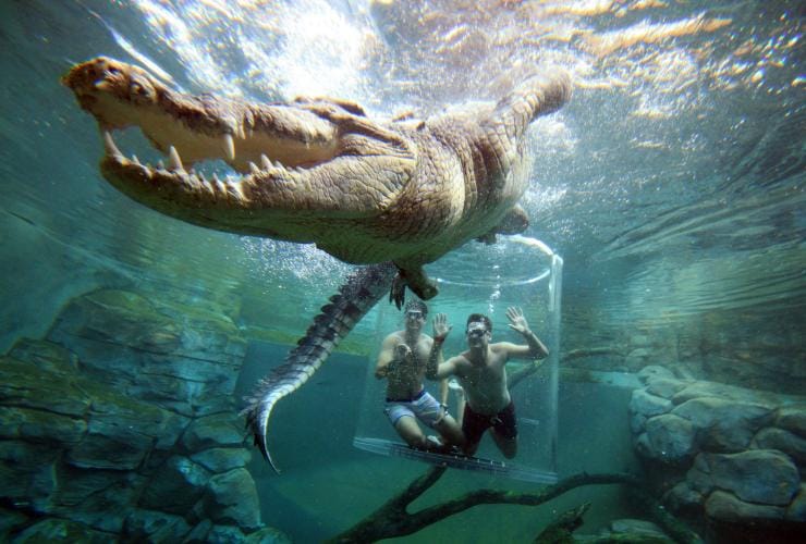 クロコザウルス・コーブでイリエワニとのケージ・オブ・デス内で水中に入っている訪問者 © Tourism NT/ Shaana McNaught