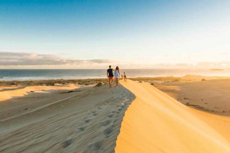  南オーストラリア州、コフィン・ベイ国立公園、ガニャ・ビーチ砂丘 © Robert Blackburn