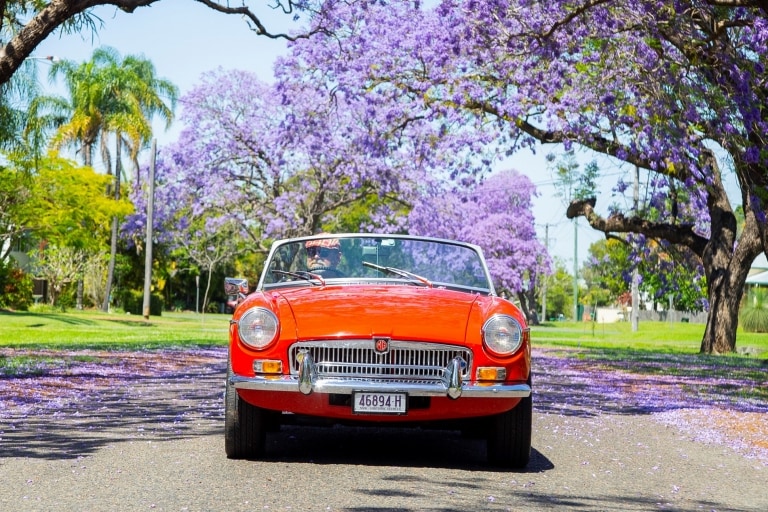 満開のジャカランダを背景に走るビンテージの赤い車 © Destination NSW