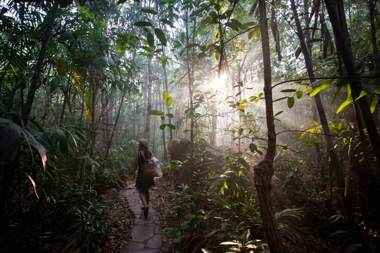 ノーザンテリトリー、リッチフィールド国立公園、フローレンス滝 © Tourism Australia