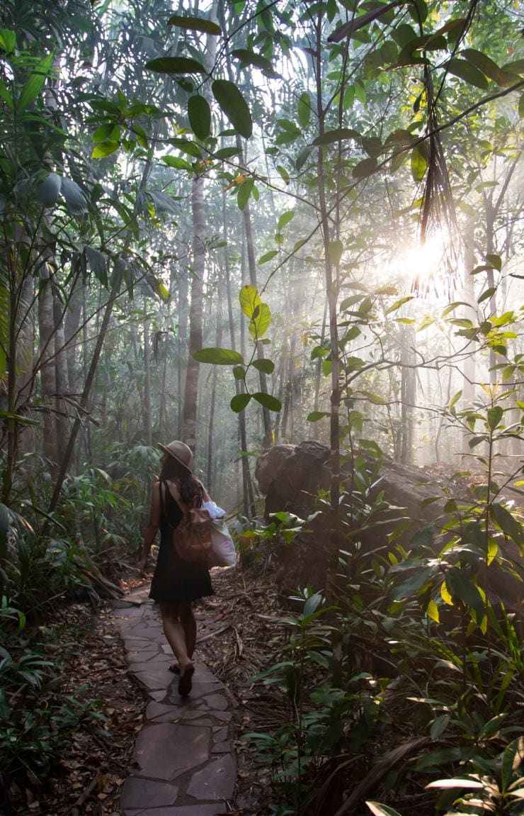 ノーザンテリトリー、リッチフィールド国立公園、フローレンス滝 © Tourism Australia