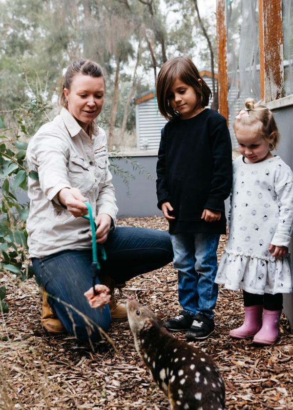 ビクトリア州、ダンケルド、ロイヤル・メイル・ホテル © Emily Weaving