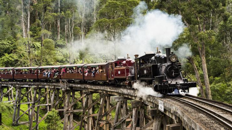 ビクトリア州、ダンデノン丘陵、パフィング・ビリー蒸気鉄道 © Robert Blackburn