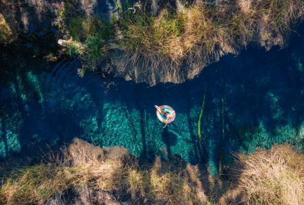 Bitter springs, Elsey National Park, Katherine, Northern Territory © Tourism NT/Backyard Bandits 