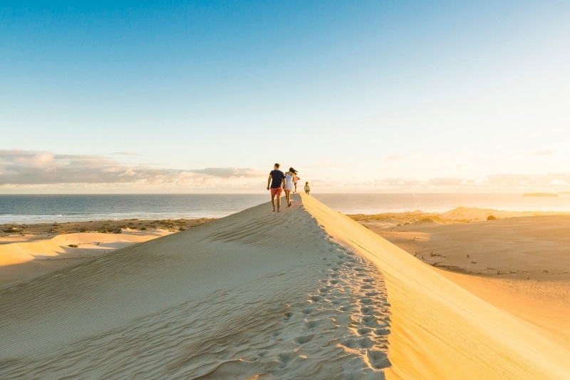 군야 비치 모래 언덕, 에어 반도, 남호주 © 남호주 관광청