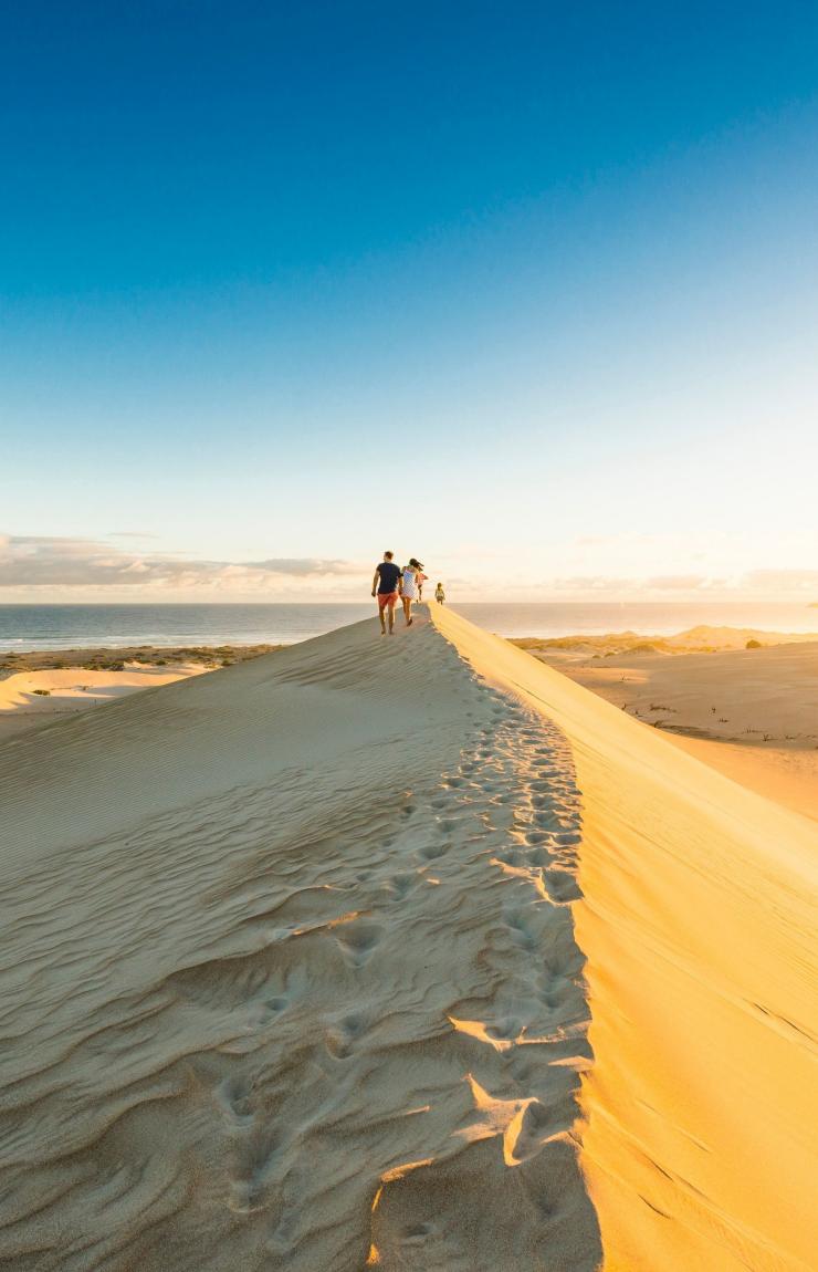 군야 비치 모래 언덕, 에어 반도, 남호주 © 남호주 관광청