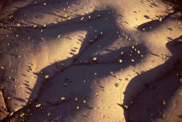 맥도넬 산맥, 이스트 맥도넬 국립공원, 노던 테리토리 © 호주정부관광청