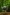 데인트리 열대우림의 화식조, 퀸즐랜드 © 퀸즐랜드주 관광청