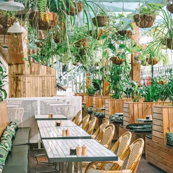  소셜 브루, 버레이 헤드, 골드 코스트, 퀸즐랜드 © 소셜 브루