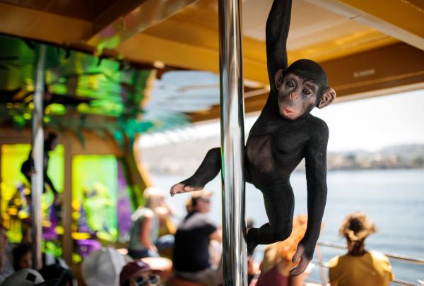 모나 로마 페리, 호바트, 태즈메이니아 © 모나 및 애제시 허니포드