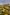 사우스뱅크에서 바라본 멜번의 스카이라인 © 앨빈 발레메사(Alvin Balemesa)/언스플래시