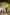 로열 보타닉 가든 시드니, 원주민 유산 투어, 시드니, 뉴사우스웨일스 © 호주정부관광청