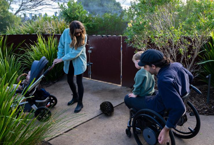 휠체어를 탄 남성이 가족과 함께 타롱가 동물원에서 바늘두더지를 구경하고 있는 모습, 시드니, 뉴사우스웨일스 © 호주정부관광청