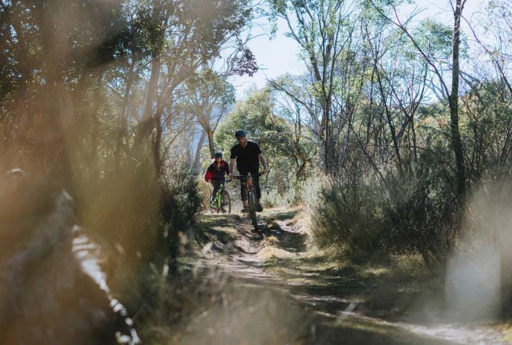 산악 자전거 타기, 코지우스코 국립공원, 뉴사우스웨일즈 © 뉴사우스웨일즈주 관광청