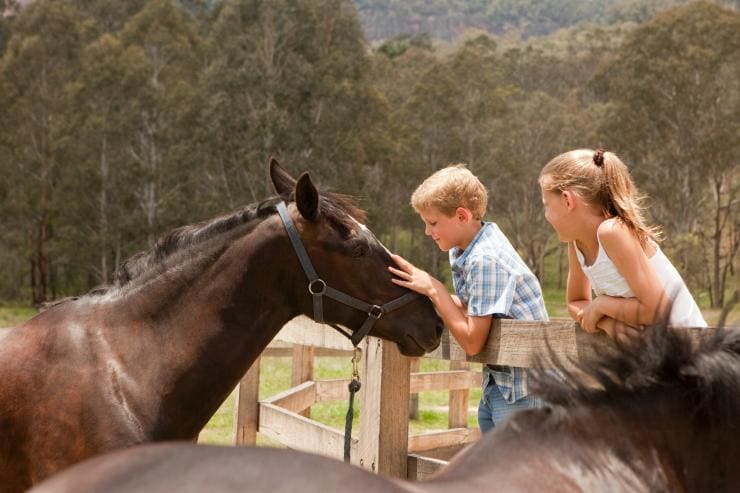 에미레이트 원앤온리 울건 밸리에서 말을 쓰다듬고 있는 아이들 © 호주의 럭셔리 롯지