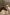 에미레이트 원앤온리 울건 밸리에서 말을 쓰다듬고 있는 아이들 © 호주의 럭셔리 롯지