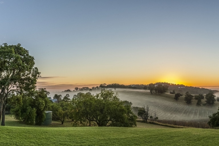 오드리 윌킨슨 와인, 헌터 밸리, 뉴사우스웨일스 © 뉴사우스웨일스주 관광청