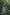 로드 하우 아일랜드가 내려다보이는 카펠라 롯지의 인피티니 풀 가장자리에 서 있는 사람 © 베일리 롯지/카펠라 롯지
