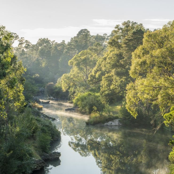 베리마의 윈지카리비 강 © 뉴 사우스 웨일즈주 관광청