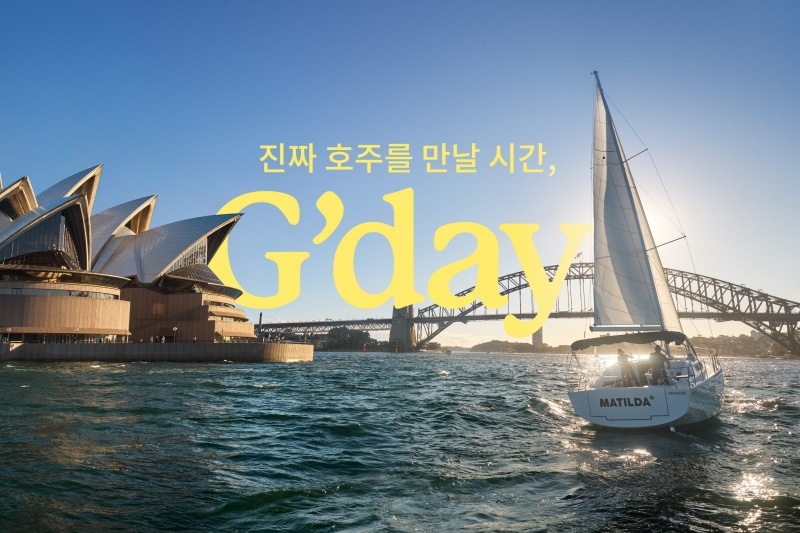 진짜 호주를 만날 시간, G'day | 아치형 다리를 향해 도시의 항구를 가로지르는 요트, 시드니, 뉴사우스웨일스 © 호주정부관광청