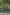 쿠퍼스 크릭, 데인트리 열대우림, 퀸즐랜드 © 호주정부관광청