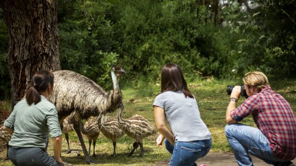 원 건디지, 타워 힐 자연 보호구역, 빅토리아