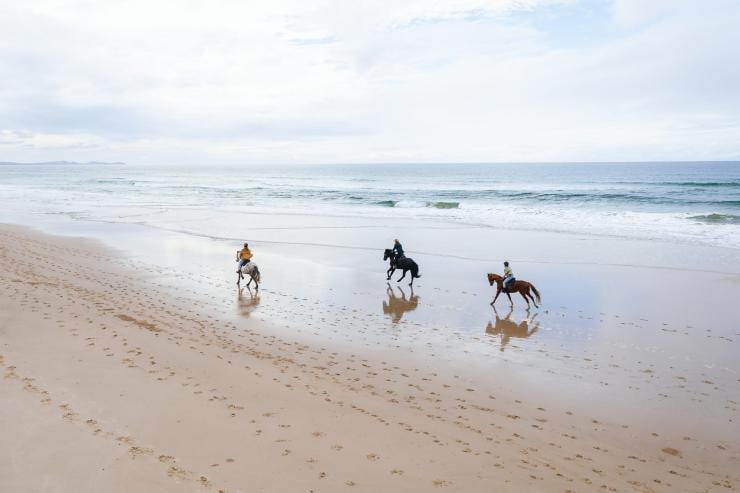 제퍼 호시즈, 바이런 베이, 뉴사우스웨일스 © 뉴사우스웨일스주 관광청 제퍼 호시즈, 바이런 베이, 뉴사우스웨일스 © 뉴사우스웨일스주 관광청