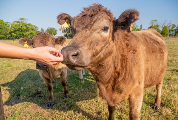 바이런 베이, 뉴사우스웨일스 © 호주정부관광청