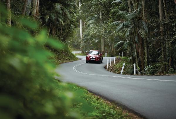 Thung lũng Canungra, Thành phố Gold Coast, QLD © Tourism and Events Queensland