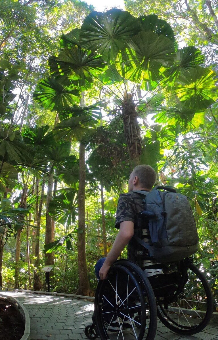 Man in a wheelchair looking up at the canopy of the Daintree Rainforest along an accessible path in Queensland © Tourism and Events Queensland