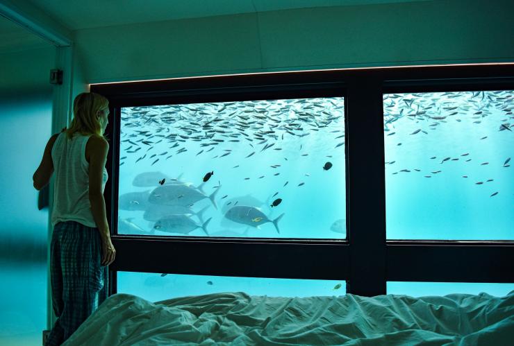 Cruise Whitsundays Reef Suite Accommodation, Whitsundays, QLD  © Cruise Whitsundays