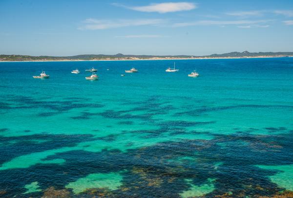 Vivonne Bay, Kangaroo Island, SA © Rishaad Saam Mehta 