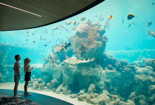 Daydream Island, Whitsundays, QLD © Tourism and Events Queensland