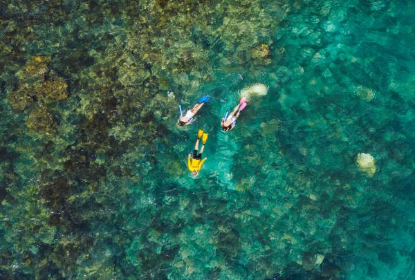 Master Reef Guide, Florence Bay, Magnetic Island, QLD © Tourism and Events Queensland