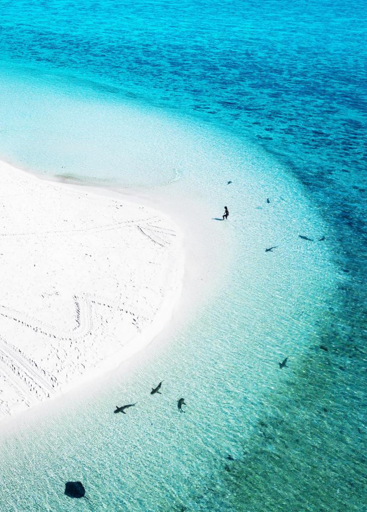 Heron Island, Great Barrier Reef, QLD © James Vodicka