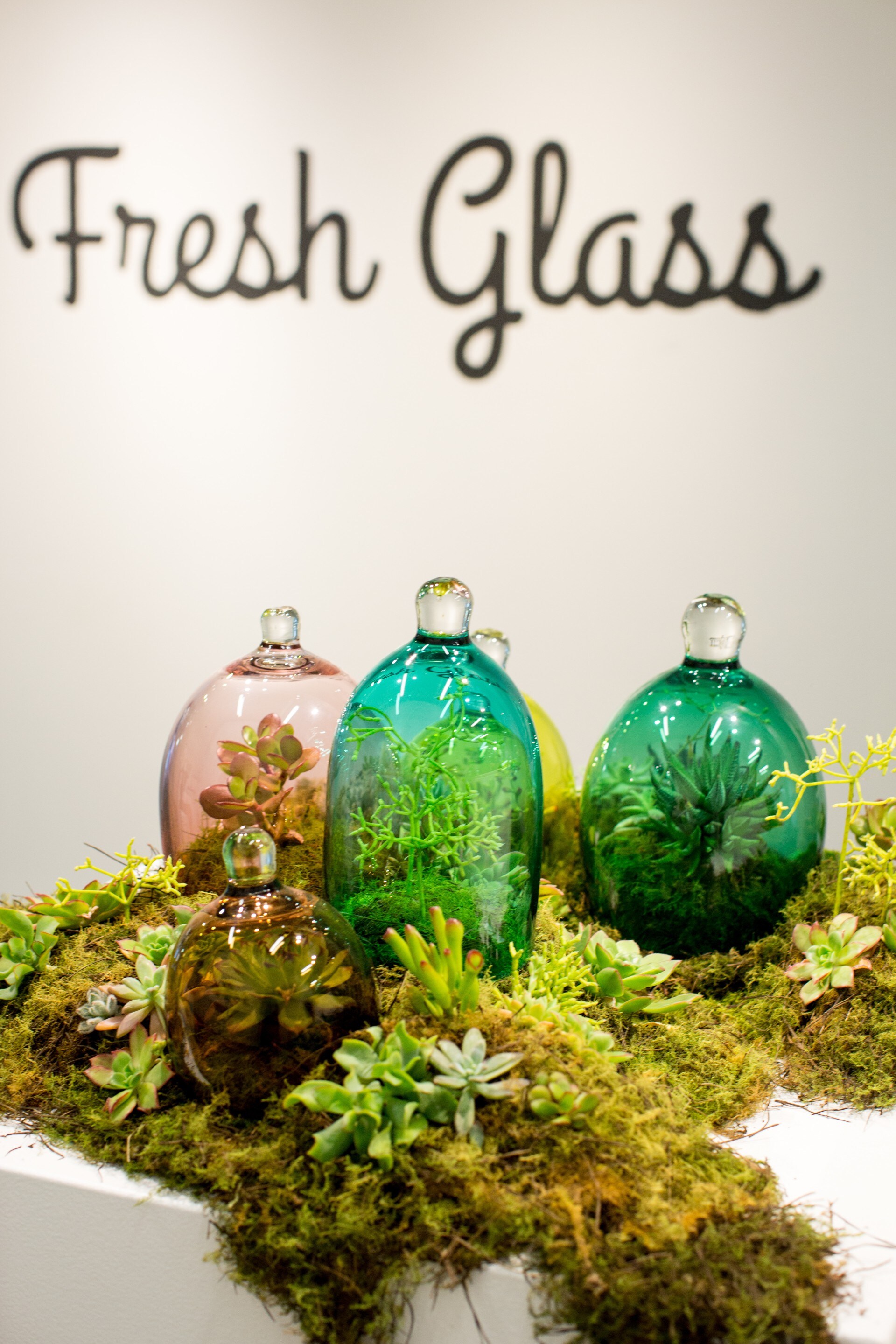 Artistic display at Canberra Glassworks in Kingston © VisitCanberra