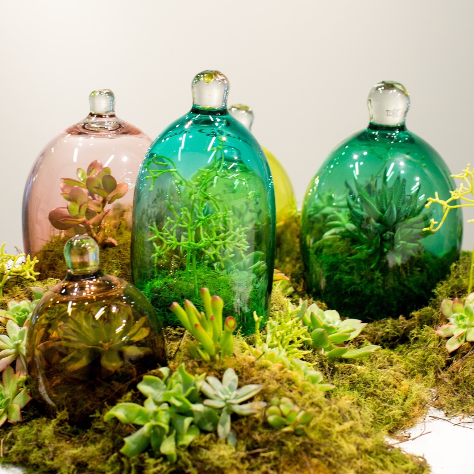 Artistic display at Canberra Glassworks in Kingston © VisitCanberra