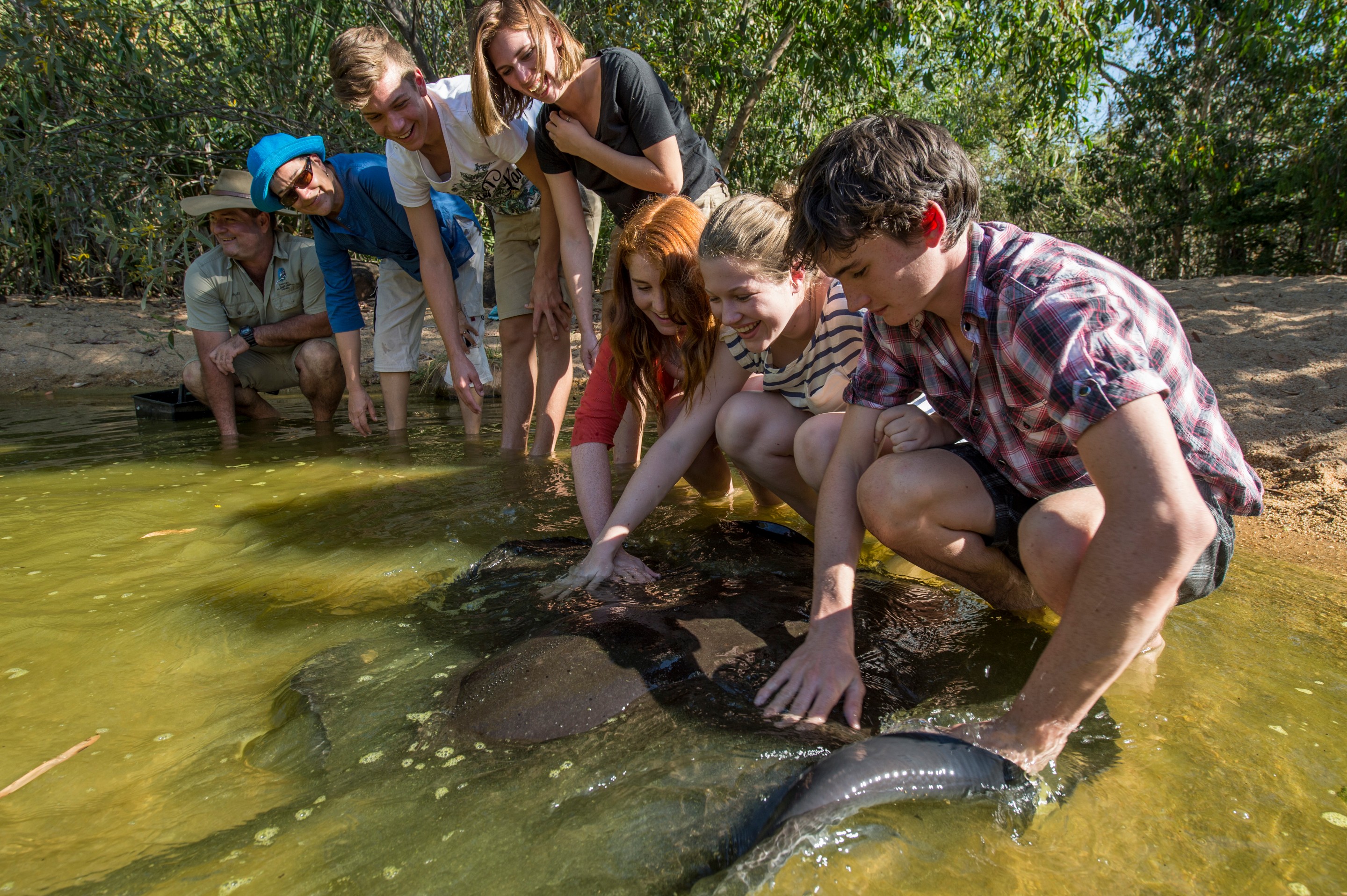 Visitors have an encounter with a freshwater whipray at The Territory Wildlife Park  © Tourism Australia