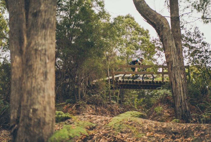 Penguin MTB Park, Penguin, TAS © Flow Mountain Bike