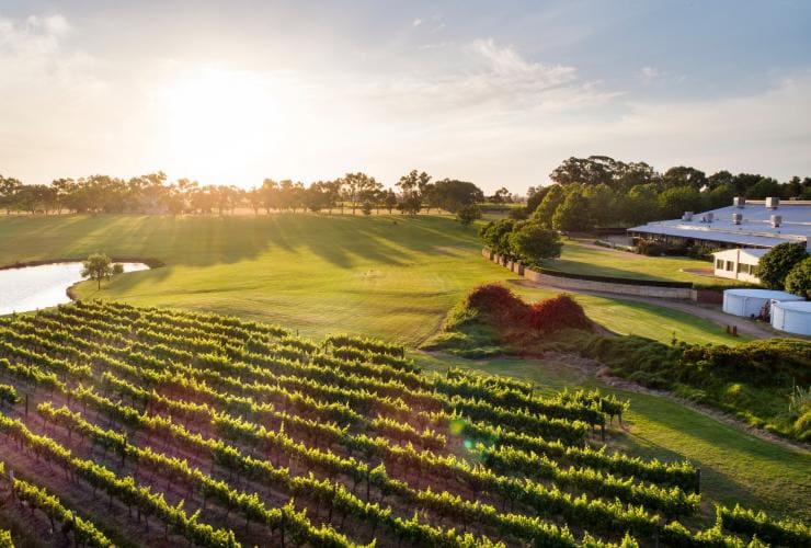  Sandalford Winery in the Swan Valley ©  Joel Barbitta DMAX Photography