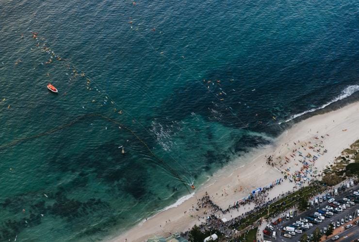 Aerial shot of the Rottnest Channel Swim, Cottesloe Beach, WA © Tourism Western Australia