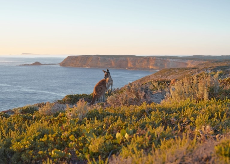 Cape du Couedic, Kangaroo Island, South Australia ©  Aquiles Pamparana
