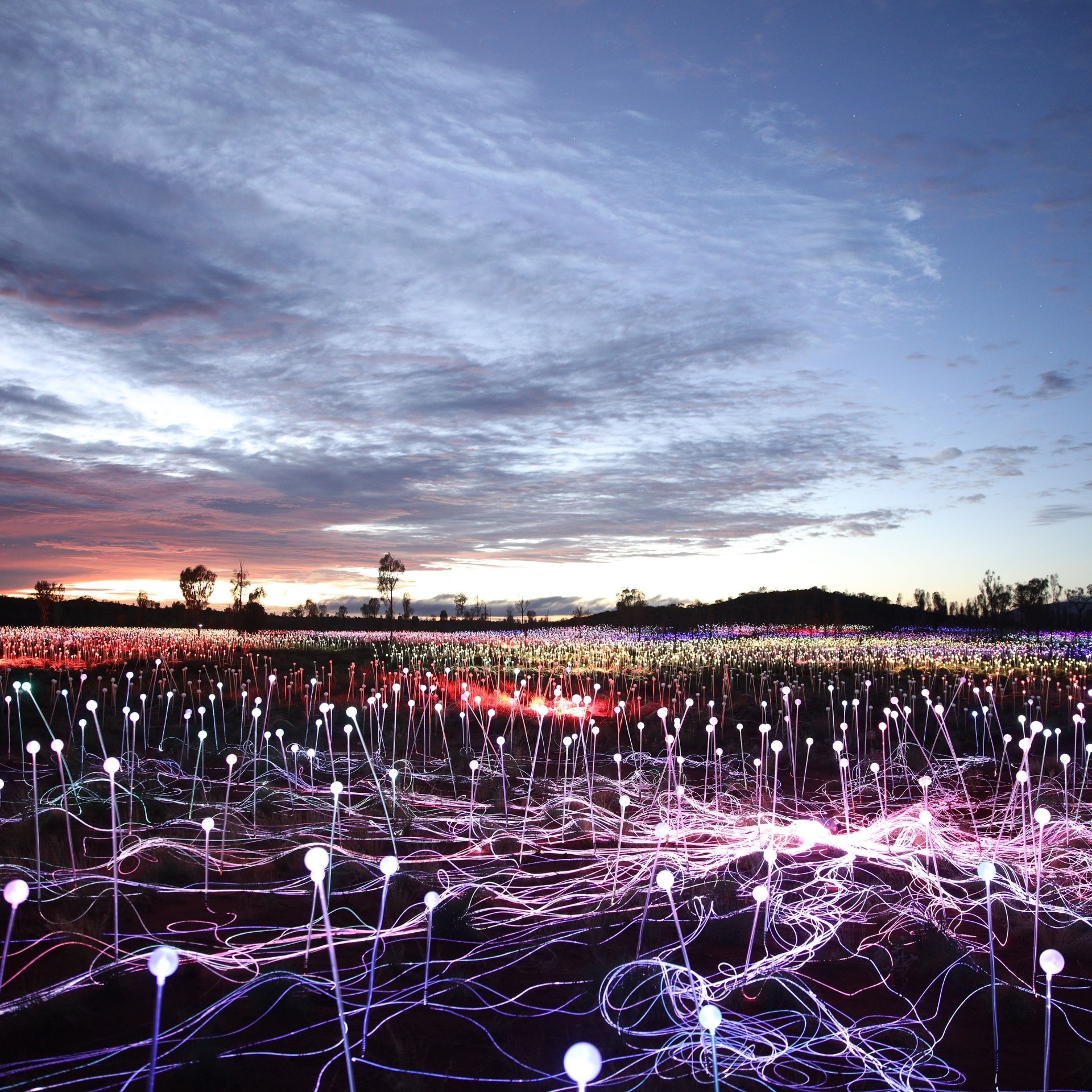 Multi-coloured stem lights illuminate the Field of Light Uluru by Bruce Munro in Yulara © Voyages Marketing