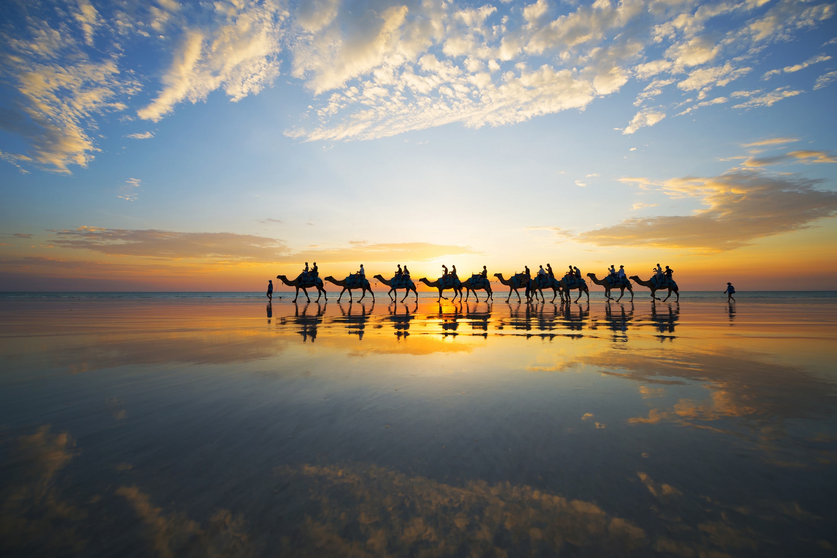 Camels at sunset on Cable Beach in Broome © Lauren Bath - Pirie Bath Photography