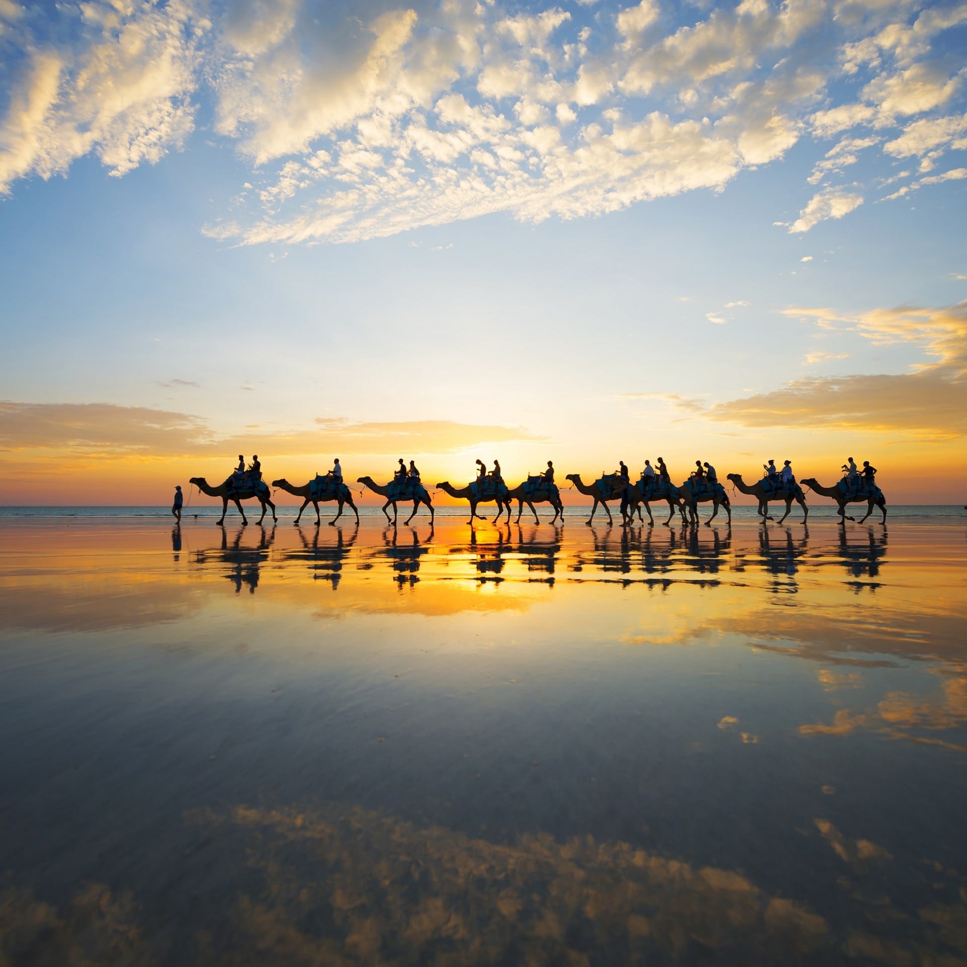 Camels at sunset on Cable Beach in Broome © Lauren Bath - Pirie Bath Photography
