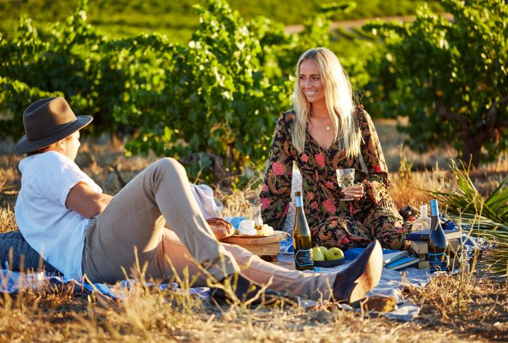 Couple having picnic in the vineyards at Seppeltsfield Wines in Barossa Valley © Seppeltsfield Wines