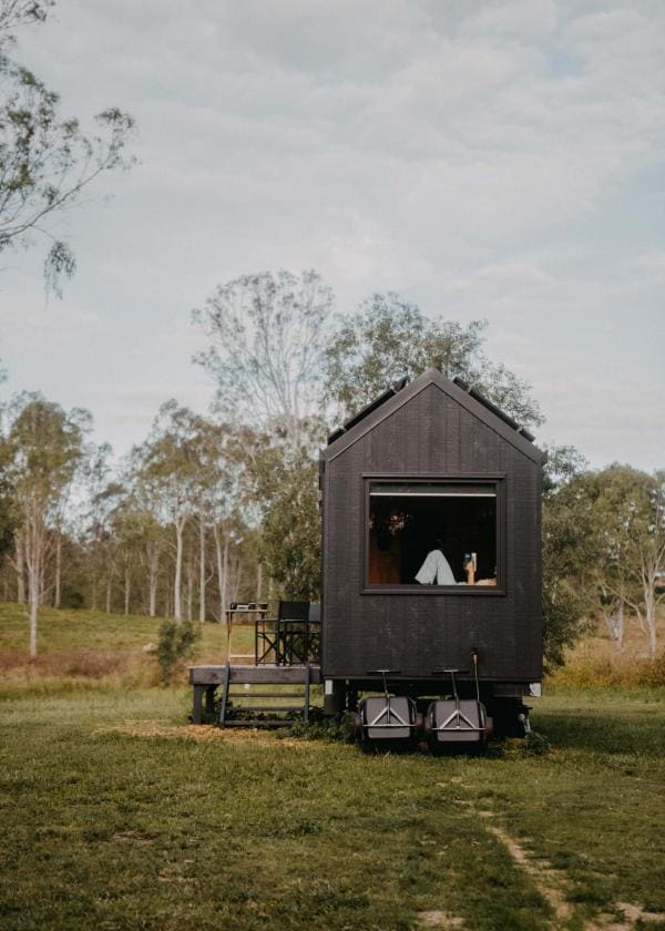 Unyoked, Flinders Lakes, Queensland © @ttylanistokes