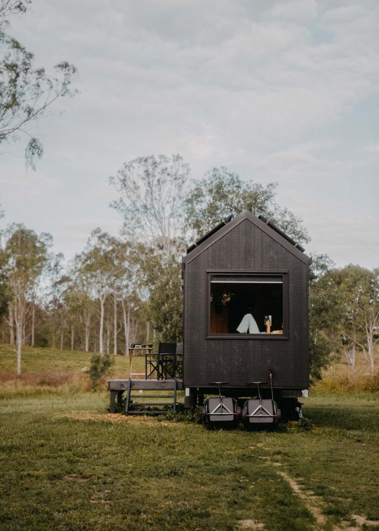 Unyoked, Flinders Lakes, Queensland © @ttylanistokes