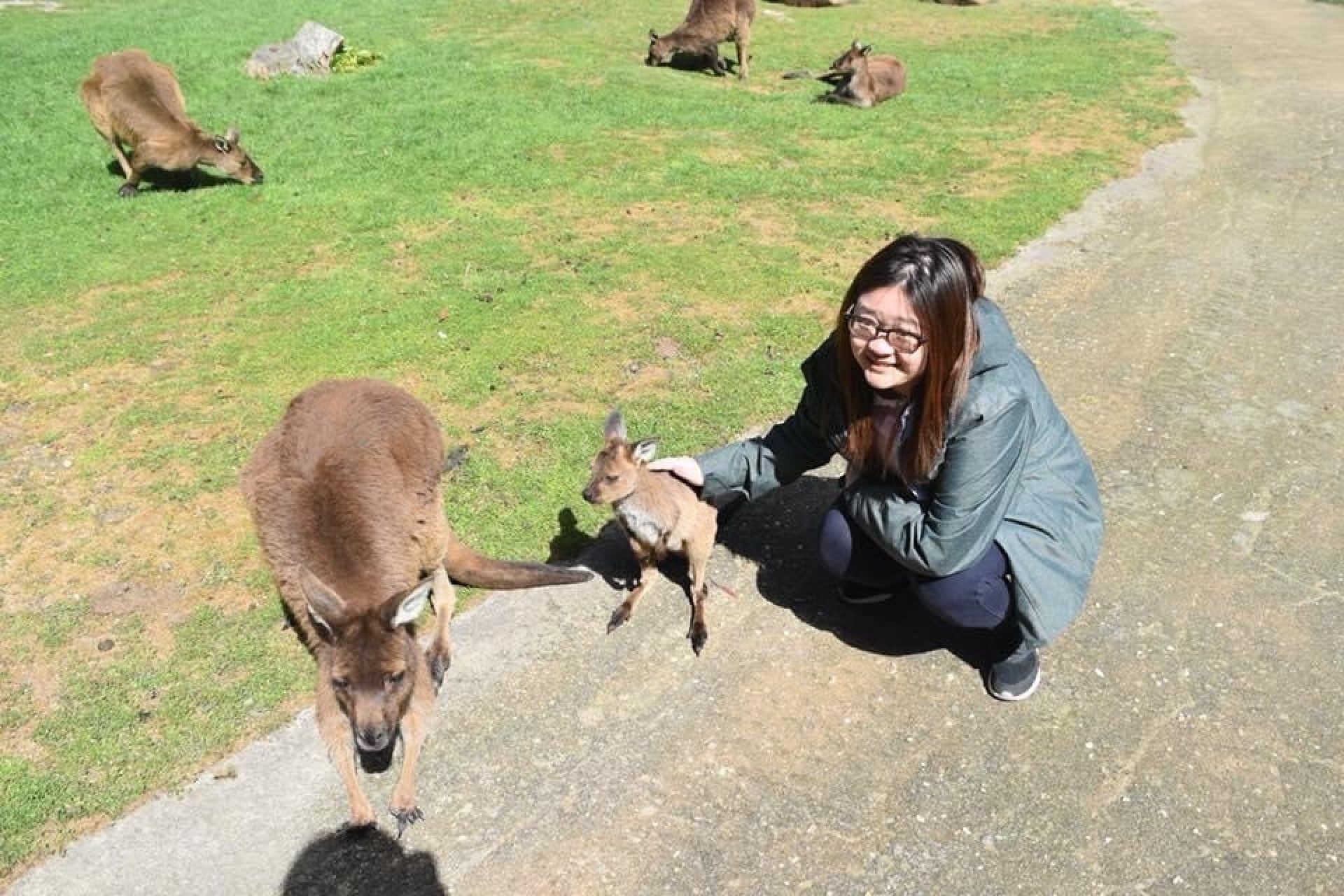 Felicia (UOB Travel) posing with kangaroos at Ballarat Wildlife Park, VIC